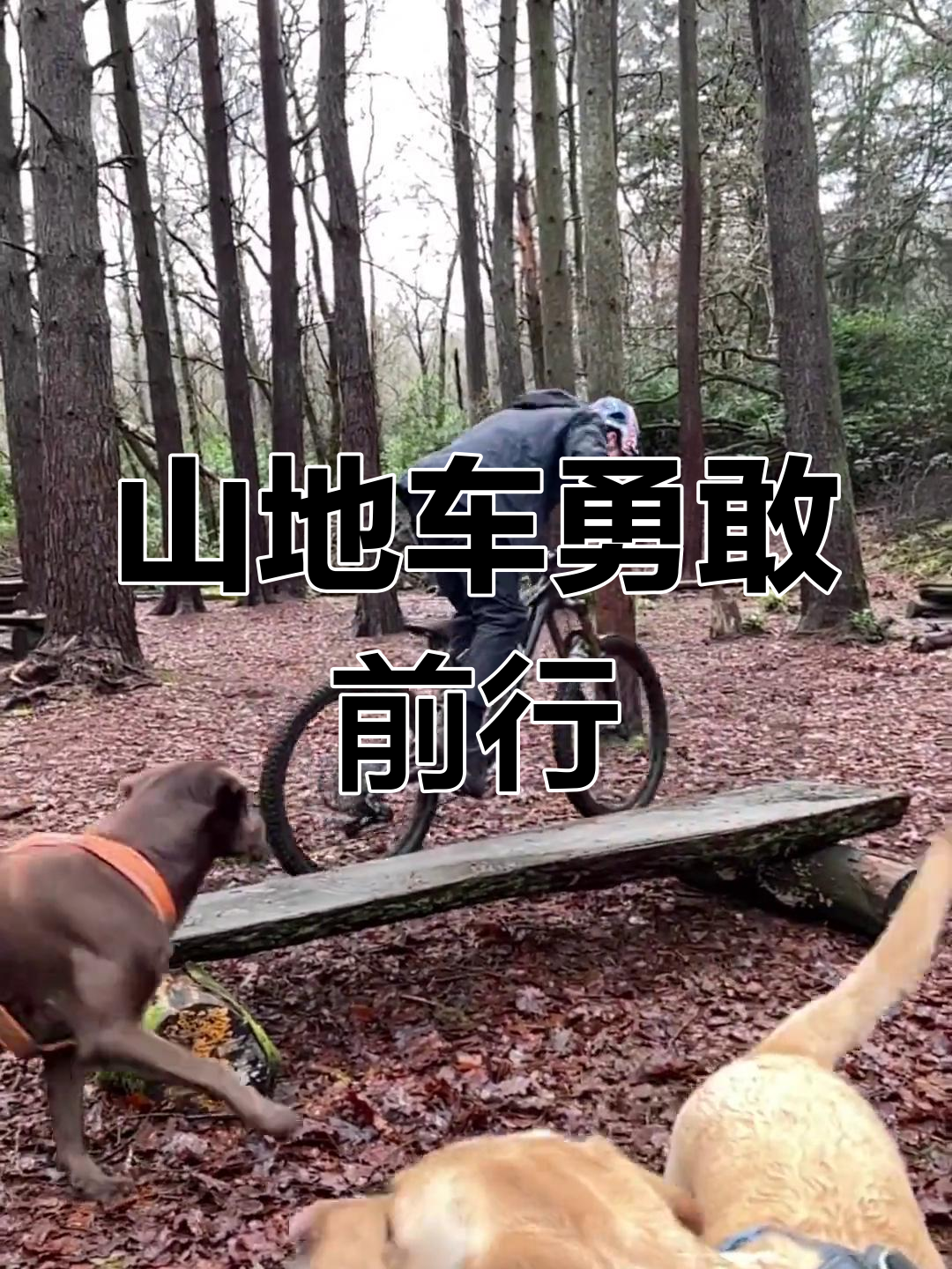 包含极限山地飞车挑战赛,速度与技巧的巅峰对决的词条 包含极限山地飞车挑战赛,速度与技巧的巅峰对决的词条