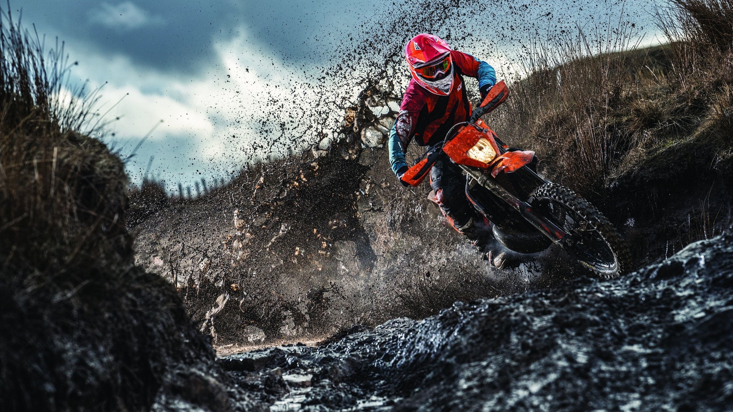 体育赛事数字化转型,数字体育产业发展